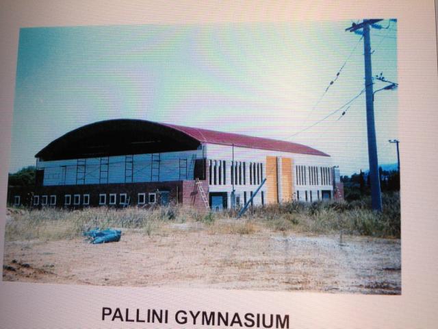 palini.JPG